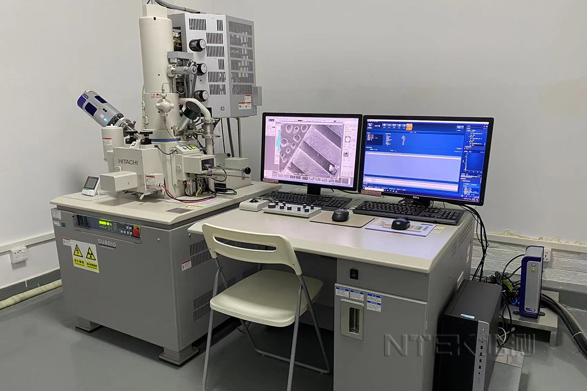 掃描電子顯微鏡